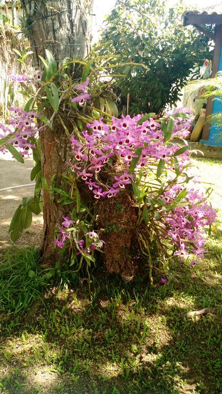 Estacao Paraiso Chale 伯迪亚哥 外观 照片